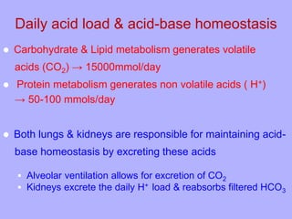Daily acid load & acid-base homeostasis
 Carbohydrate & Lipid metabolism generates volatile
acids (CO2) → 15000mmol/day
 Protein metabolism generates non volatile acids ( H+)
→ 50-100 mmols/day
 Both lungs & kidneys are responsible for maintaining acid-
base homeostasis by excreting these acids
 Alveolar ventilation allows for excretion of CO2
 Kidneys excrete the daily H+ load & reabsorbs filtered HCO3
 