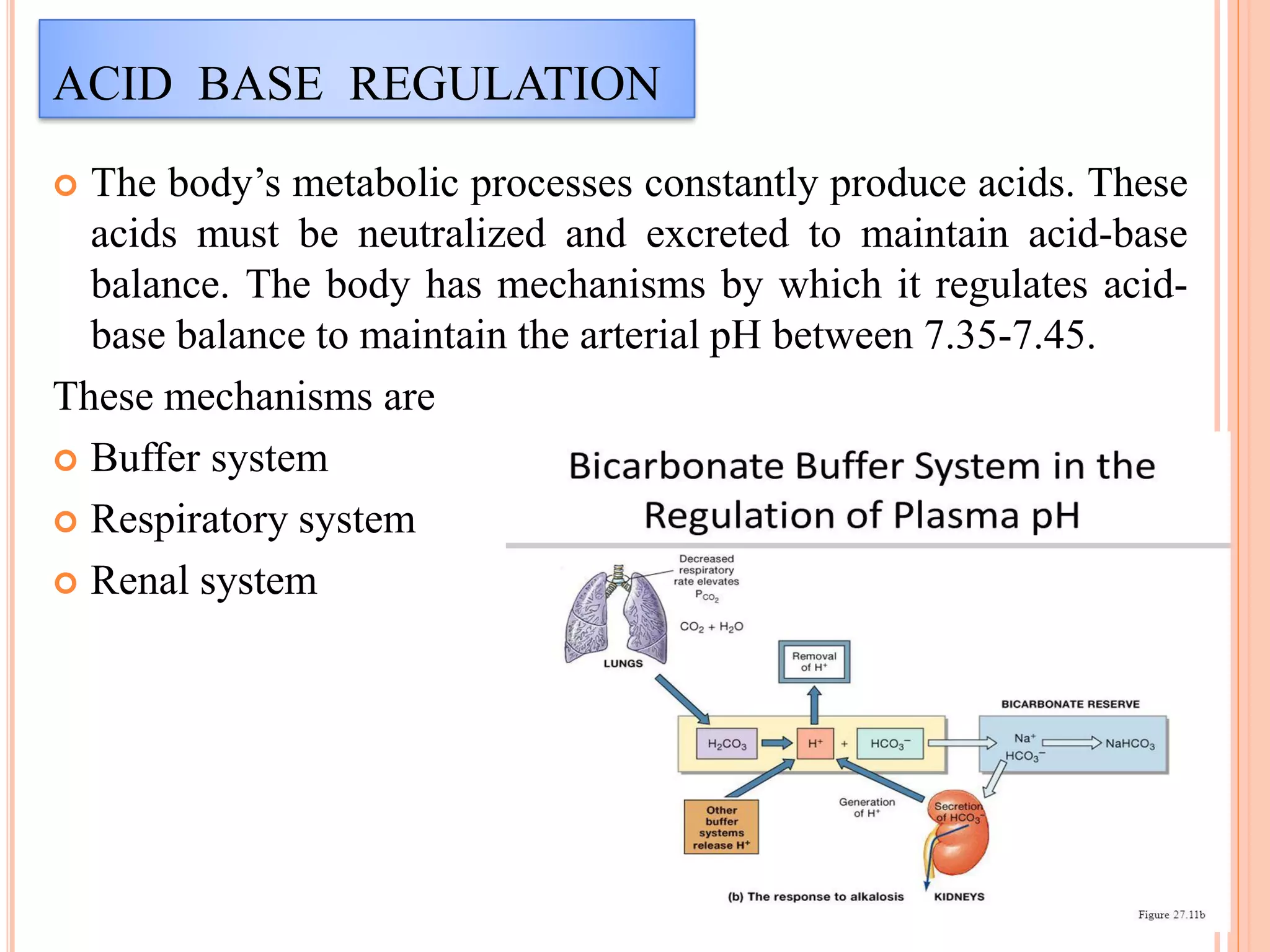 Arterial blood gas analysis (ABG) | PDF