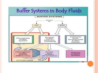 Arterial blood gas analysis (ABG) | PDF