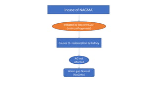 Nagma Algorithm Acid Base pathology and ABG interpretation .pptx