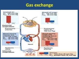 Gas exchange
 