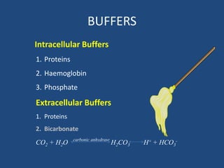 Intracellular Buffers
1. Proteins
2. Haemoglobin
3. Phosphate
Extracellular Buffers
1. Proteins
2. Bicarbonate
CO2 + H2O
carbonic anhydrase
H2CO3 H+ + HCO3
-
BUFFERS
 