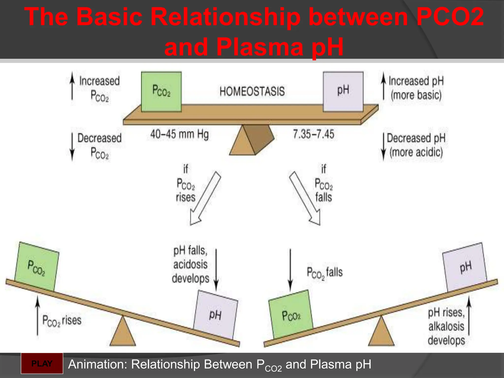The Basic Relationship between PCO2
and Plasma pH
Animation: Relationship Between PCO2 and Plasma pH
PLAY
 