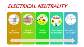 ELECTRICAL NEUTRALITY
Nerve
conduction
Muscle
contraction
Platelets
function
Electrolytes
homeostasis
Dissociation
of oxygen
 