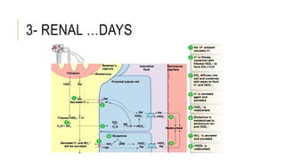3- RENAL …DAYS
 