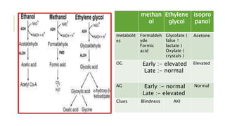 isopro
panol
Ethylene
glycol
methan
ol
AcetoneGlycolate (
false ↑
lactate )
Oxylate (
crystals )
Formaldeh
yde
Formic
acid
metabolit
es
ElevatedEarly :- elevated
Late :- normal
OG
NormalEarly :- normal
Late :- elevated
AG
AKIBlindnessClues
 