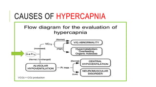 CAUSES OF HYPERCAPNIA
 