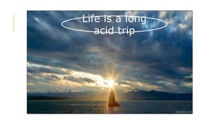 Life is a long
acid trip
 
