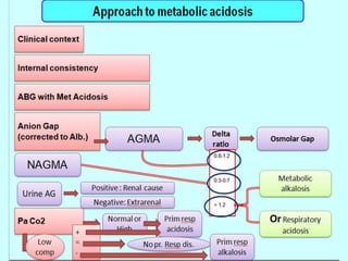Abg Algorithm Arterial Blood Gases (ABG) interpretation, a simplified approach | PPSX
