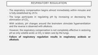 RESPIRATORY REGULATION
• The respiratory compensation begins almost immediately within minutes and
is fully established by 24 hr.
• The lungs participate in regulating pH by increasing or decreasing the
elimination of CO2.
• With acidosis, pH changes around the brainstem stimulate hyperventilation
and the reverse is observed with alkalosis.
• However, the respiratory compensation is not completely effective in restoring
pH as only volatile acids i.e CO2 is taken care by the lungs.
• Failure of respiratory regulation results in respiratory acidosis or
alkalosis.
 