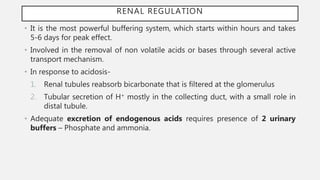 RENAL REGULATION
• It is the most powerful buffering system, which starts within hours and takes
5-6 days for peak effect.
• Involved in the removal of non volatile acids or bases through several active
transport mechanism.
• In response to acidosis-
1. Renal tubules reabsorb bicarbonate that is filtered at the glomerulus
2. Tubular secretion of H+ mostly in the collecting duct, with a small role in
distal tubule.
• Adequate excretion of endogenous acids requires presence of 2 urinary
buffers – Phosphate and ammonia.
 
