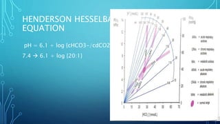 HENDERSON HESSELBACH
EQUATION
pH = 6.1 + log {cHCO3-/cdCO2}
7.4  6.1 + log {20:1}
 