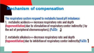 The respiratory system respond to metabolic based pH imbalance:
1. metabolic acidosis>>> increase respiratory rate and depth
(hyperventilation) due to stimulation of respiratory center indirectly ( by
the act of peripheral chemoreceptors). (PaCO2 )
2. metabolic alkalosis>>> decrease respiratory rate and depth
(hypoventilation) due to inhibition of respiratory center indirectly(PaCO2 )
Mechanism of compensation
 