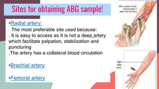 Sites for obtaining ABG sample!
•Radial artery:
The most preferable site used because:
. It is easy to access as It is not a deep artery
which facilitate palpation, stabilization and
puncturing
.The artery has a collateral blood circulation
•Brachial artery
•Femoral artery
 
