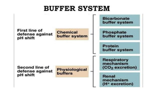 BUFFER SYSTEM
 