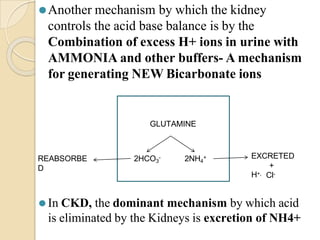 ⚫Another mechanism by which the kidney
controls the acid base balance is by the
Combination of excess H+ ions in urine with
AMMONIA and other buffers- A mechanism
for generating NEW Bicarbonate ions
⚫In CKD, the dominant mechanism by which acid
is eliminated by the Kidneys is excretion of NH4+
GLUTAMINE
2HCO3
- 2NH4
+
REABSORBE
D
EXCRETED
+
H+, Cl-
 