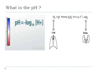What is the pH ? 
 