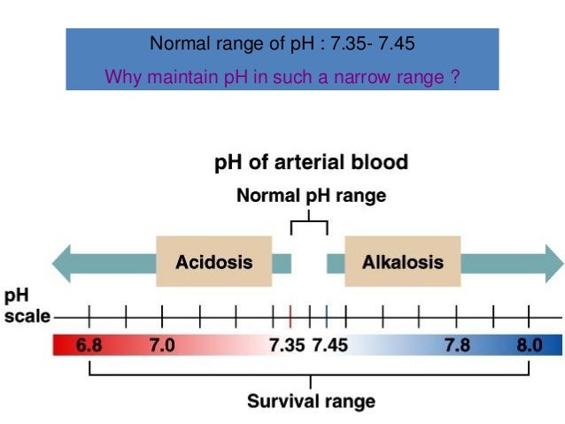 test blood glucose indications Abg skill station test blood glucose indications Abg skill station