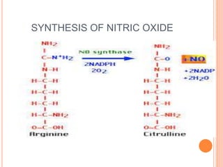 SYNTHESIS OF NITRIC OXIDE
 