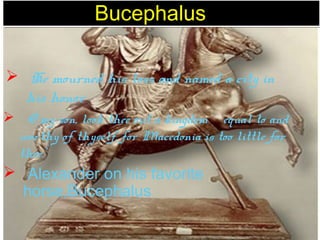 BucephalusBucephalus
 He mourned his loss and named a city in
his honor
 O my son, look thee out a kingdom equal to and
worthy of thyself, for Macedonia is too little for
thee.'
 Alexander on his favorite
horse,Bucephalus
 