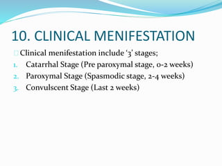 10. CLINICAL MENIFESTATION
Clinical menifestation include ‘3’ stages;
1. Catarrhal Stage (Pre paroxymal stage, 0-2 weeks)
2. Paroxymal Stage (Spasmodic stage, 2-4 weeks)
3. Convulscent Stage (Last 2 weeks)
 