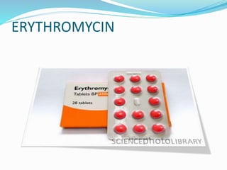 ERYTHROMYCIN
 