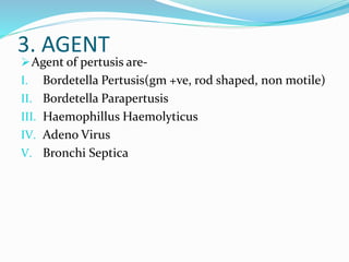 3. AGENT
Agent of pertusis are-
I. Bordetella Pertusis(gm +ve, rod shaped, non motile)
II. Bordetella Parapertusis
III. Haemophillus Haemolyticus
IV. Adeno Virus
V. Bronchi Septica
 