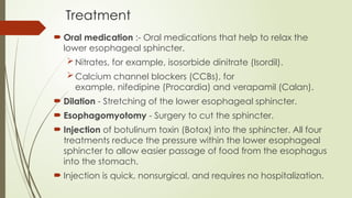 Comprehensive Overview of the Gastrointestinal System and Its ...