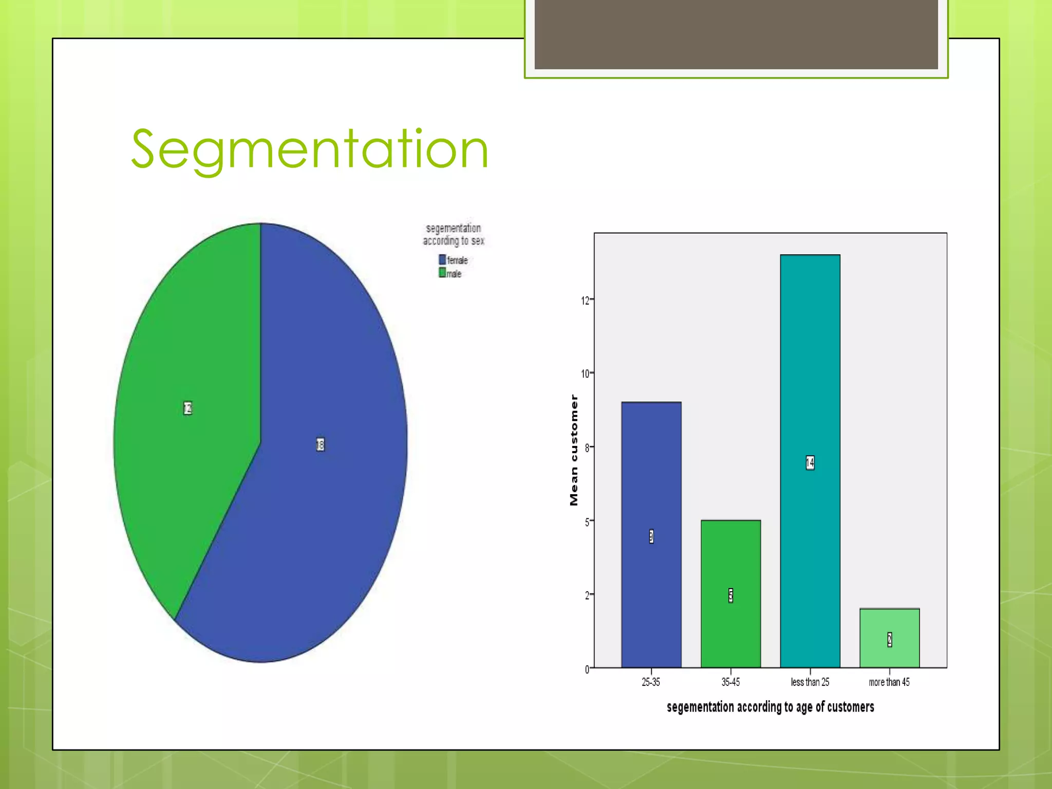 Segmentation
 