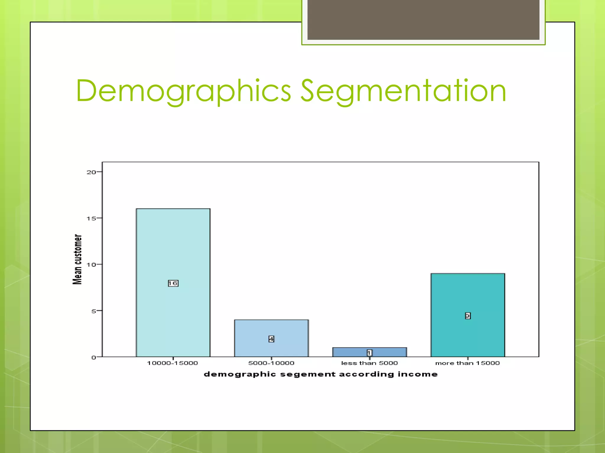 Demographics Segmentation
 