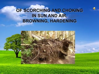 OF SCORCHING AND CHOKINGOF SCORCHING AND CHOKING
IN SUN AND AIR,IN SUN AND AIR,
BROWNING, HARDENINGBROWNING, HARDENING
 