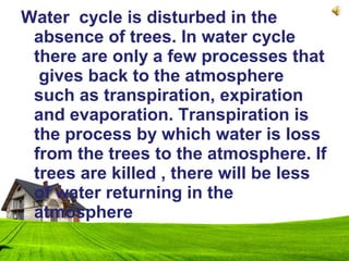 Water cycle is disturbed in the
absence of trees. In water cycle
there are only a few processes that
gives back to the atmosphere
such as transpiration, expiration
and evaporation. Transpiration is
the process by which water is loss
from the trees to the atmosphere. If
trees are killed , there will be less
of water returning in the
atmosphere
 