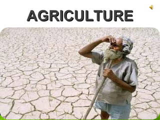 AGRICULTUREAGRICULTURE
 