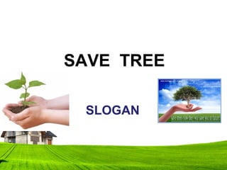 SLOGAN
SAVE TREE
 