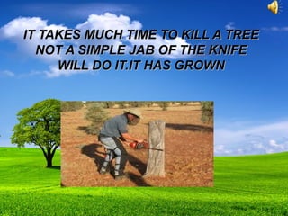 IT TAKES MUCH TIME TO KILL A TREEIT TAKES MUCH TIME TO KILL A TREE
NOT A SIMPLE JAB OF THE KNIFENOT A SIMPLE JAB OF THE KNIFE
WILL DO IT.IT HAS GROWNWILL DO IT.IT HAS GROWN
 
