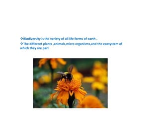 Biodiversity is the variety of all life forms of earth . 
The different plants ,animals,micro organisms,and the ecosystem of 
which they are part 
 