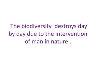 The biodiversity destroys day 
by day due to the intervention 
of man in nature . 
 