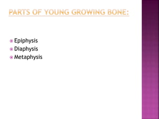  Epiphysis
 Diaphysis
 Metaphysis
 