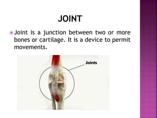  Joint is a junction between two or more
bones or cartilage. It is a device to permit
movements.
 