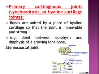 Primary cartilaginous joints
(synchondrosis, or hyaline cartilage
joints):
 Bones are united by a plate of hyaline
cartilage so that the joint is immovable
and strong.
 e.g. Joint between epiphysis and
diaphysis of a growing long bone,
Sternocoastal joint
 