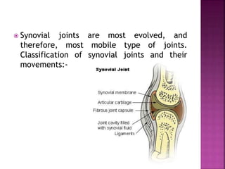  Synovial joints are most evolved, and
therefore, most mobile type of joints.
Classification of synovial joints and their
movements:-
 