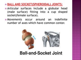  BALL AND SOCKET(SPHEROIDAL) JOINTS:
 Articular surfaces include a globular head
(male surface) fitting into a cup shaped
socket(female surface).
 Movements occur around an indefinite
number of axes which have common center.
 