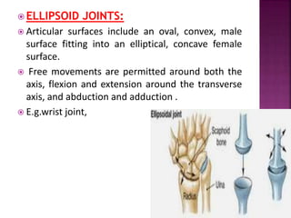 ELLIPSOID JOINTS:
 Articular surfaces include an oval, convex, male
surface fitting into an elliptical, concave female
surface.
 Free movements are permitted around both the
axis, flexion and extension around the transverse
axis, and abduction and adduction .
 E.g.wrist joint,
 