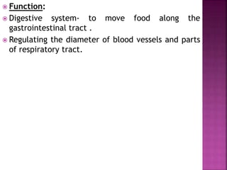  Function:
 Digestive system- to move food along the
gastrointestinal tract .
 Regulating the diameter of blood vessels and parts
of respiratory tract.
 