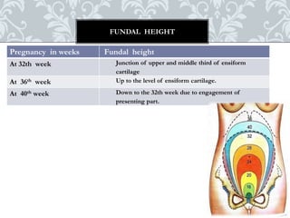 Enciform Sign and symptoms of pregnancy & Minor Ailments during pregnancy | PPTX
