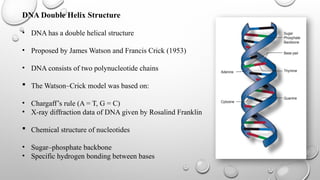 DNA AND DOUBLE HELIX STRUCTURE OF DNA PPT | PPTX