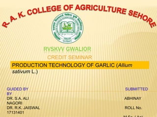 RVSKVV GWALIOR
CREDIT SEMINAR
PRODUCTION TECHNOLOGY OF GARLIC (Allium
sativum L.)
GUIDED BY SUBMITTED
BY
DR. S.A. ALI ABHINAY
NAGORI
DR. R.K. JAISWAL ROLL No.
17131401
 