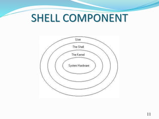 SHELL COMPONENT
11
 