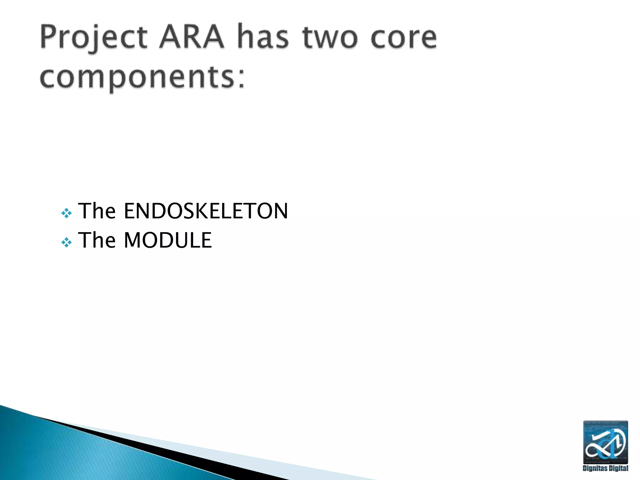  The ENDOSKELETON
 The MODULE
 