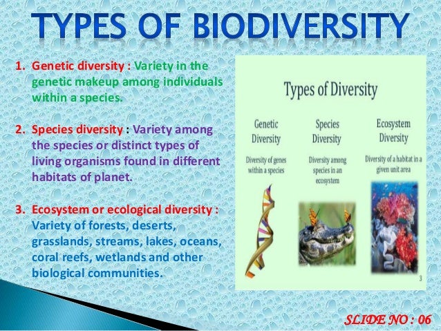 Biodiversity Is The Variety Of Organisms Within